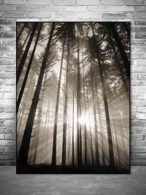 Roll In The Deep | The Forest Canvas print - Wall Art